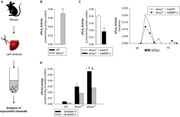 Figure 14.