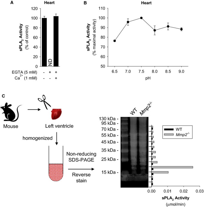 Figure 10.