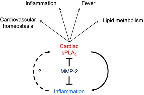 Figure 19.