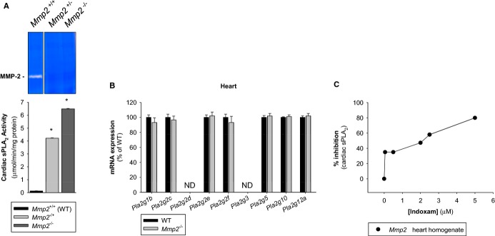 Figure 11.