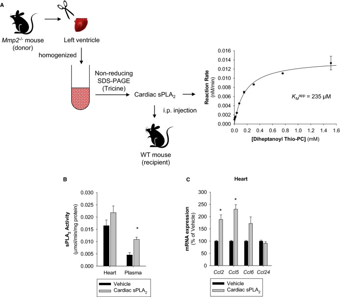 Figure 17.