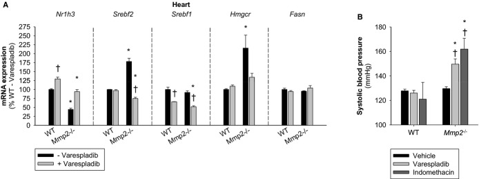 Figure 18.