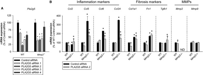 Figure 12.