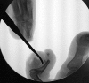Fig. 3.