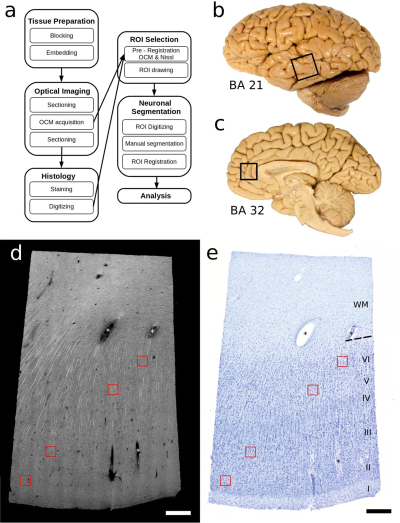 Fig 1.