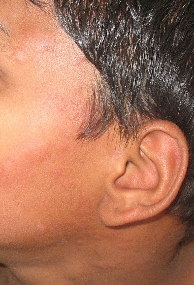 Figure 2