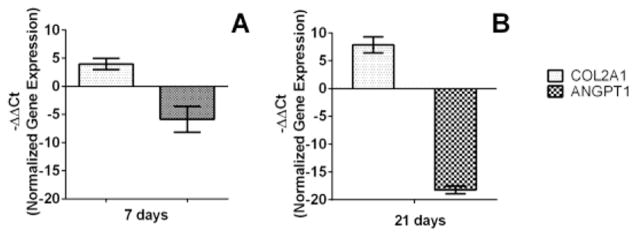 Figure 16