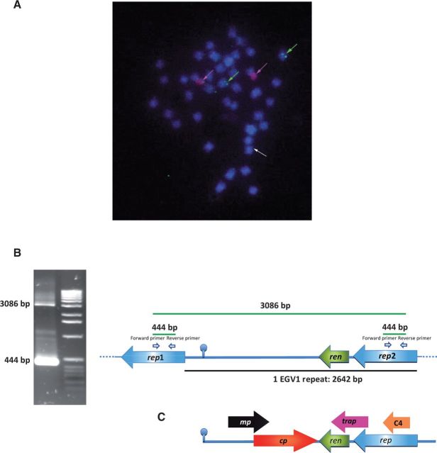 Figure 1.