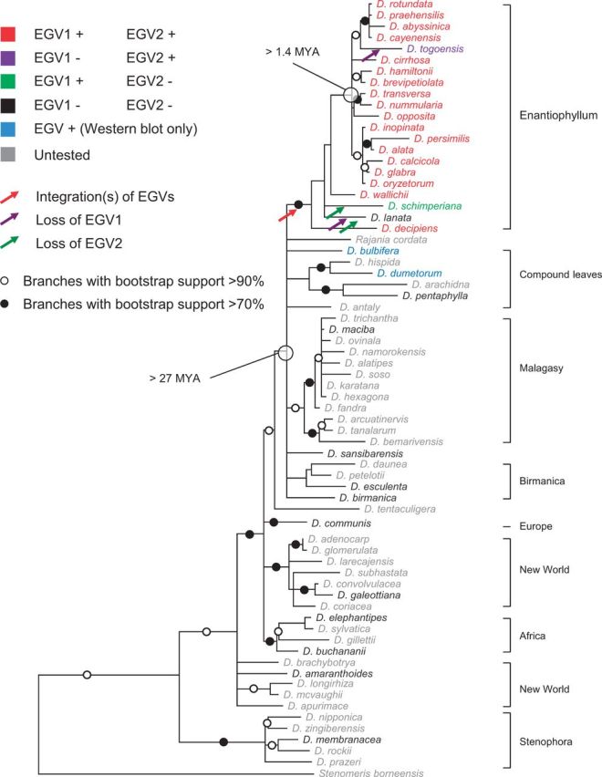 Figure 6.