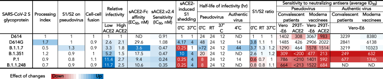 Figure 7