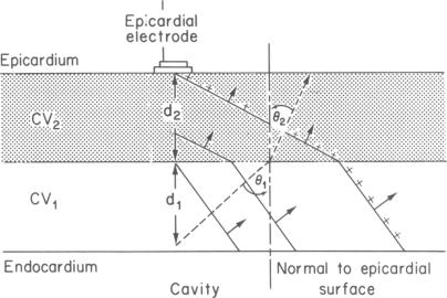 graphic file with name jcinvest00146-0016-a.jpg