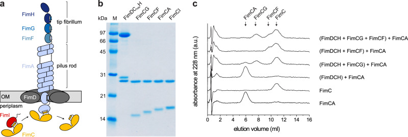 Fig. 1