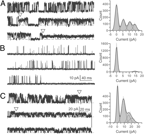 Fig. 4.