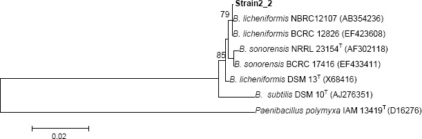 Figure 2