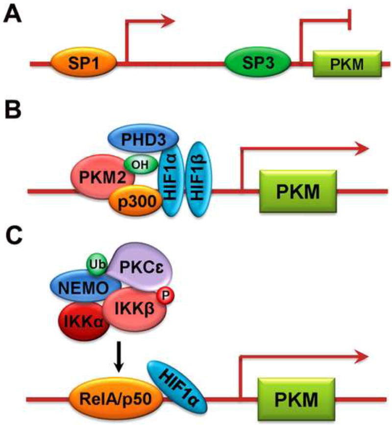 Fig.1