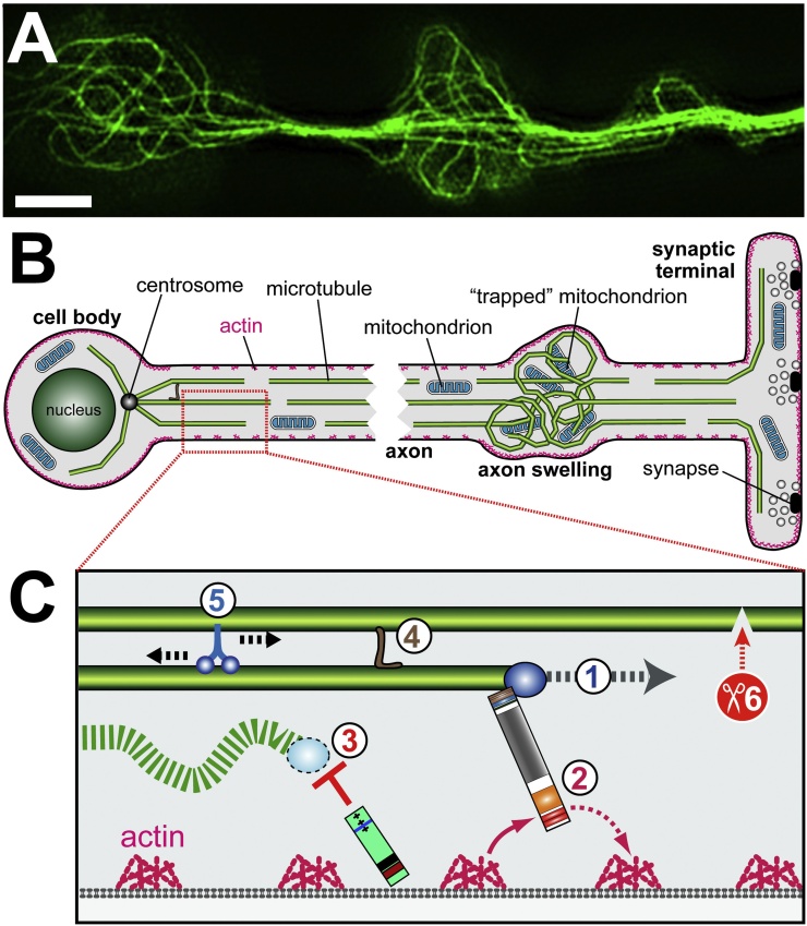 Fig. 3