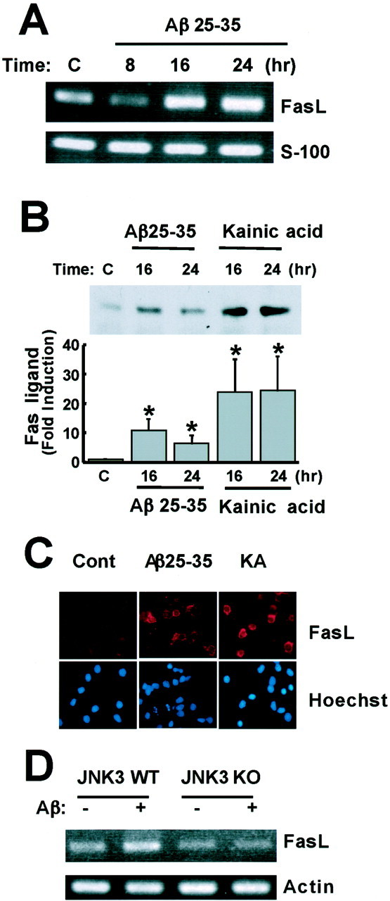 Fig. 6.