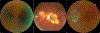 Fig. 1.