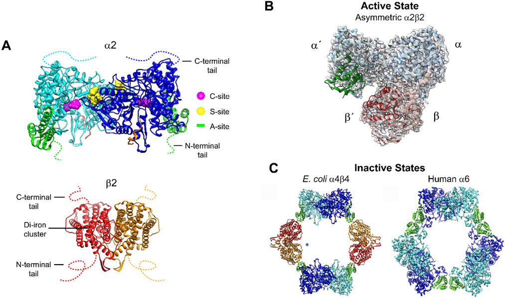 Figure 3.