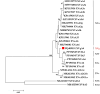 Fig 2