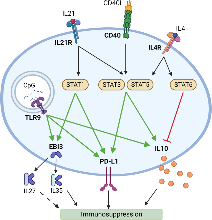 Figure 5