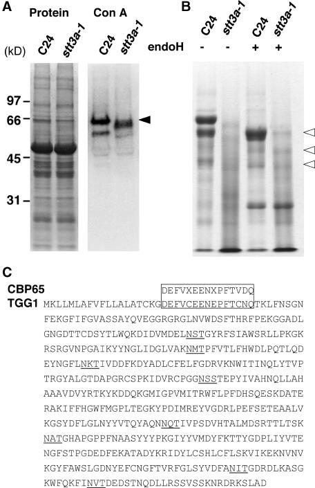 Figure 10.