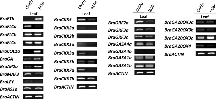 Figure 4.