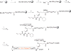 Scheme 2