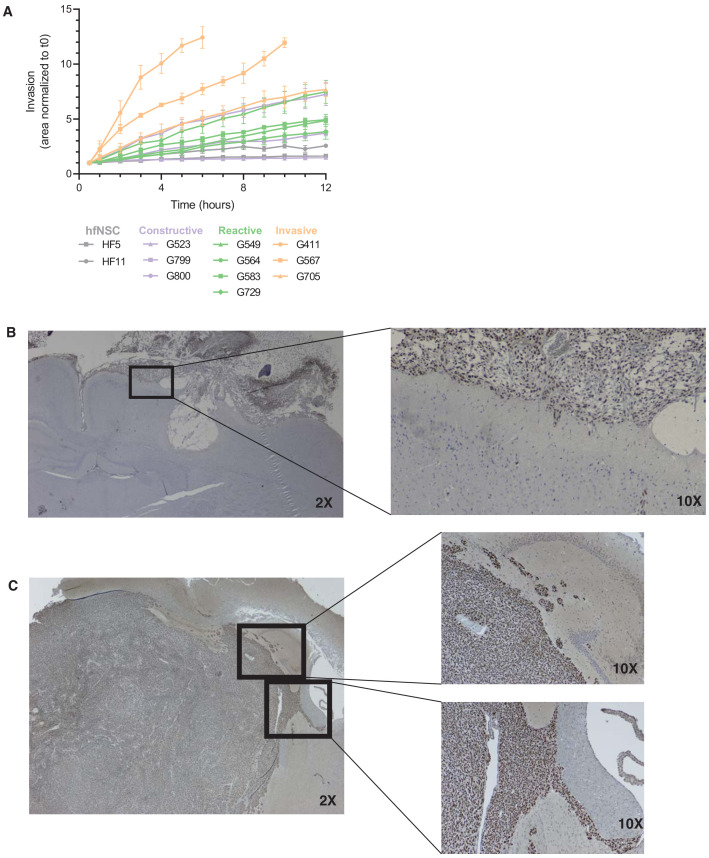 Figure 5—figure supplement 1.