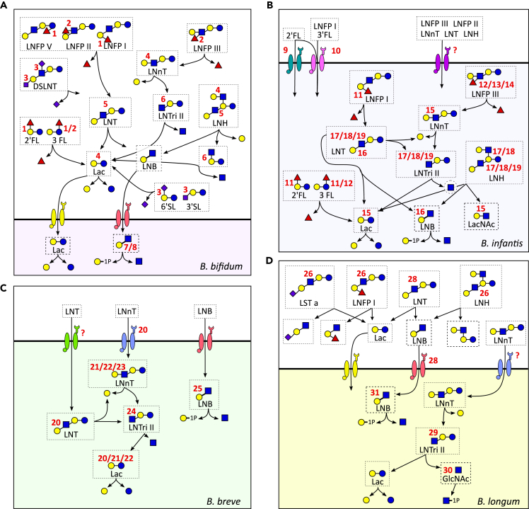 Figure 3