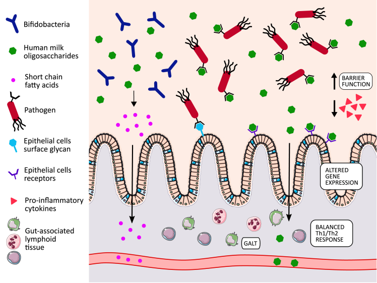 Figure 2