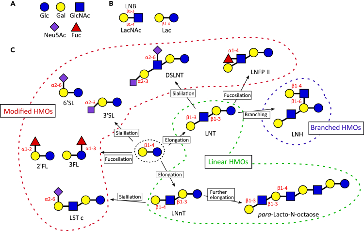 Figure 1