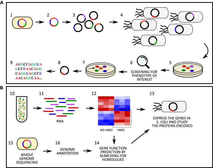 Figure 4