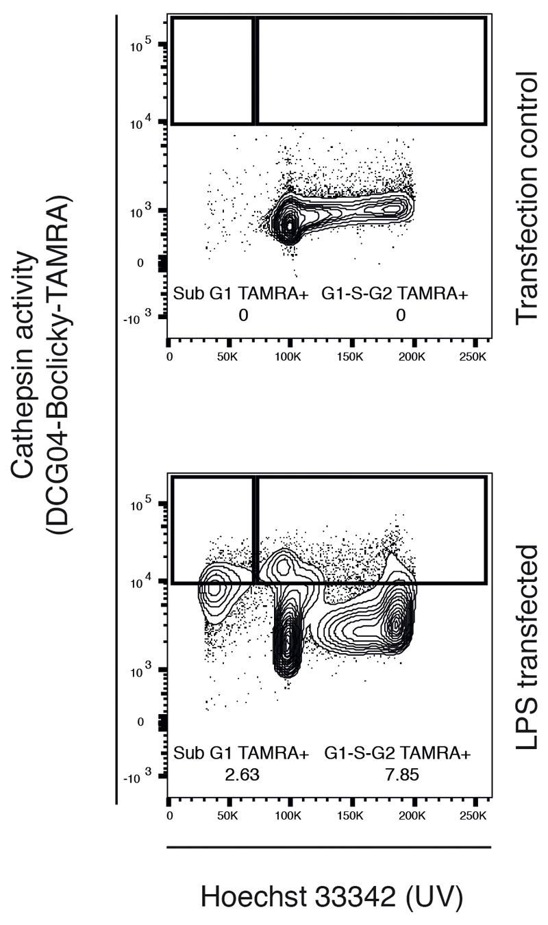 Extended Data Fig. 8