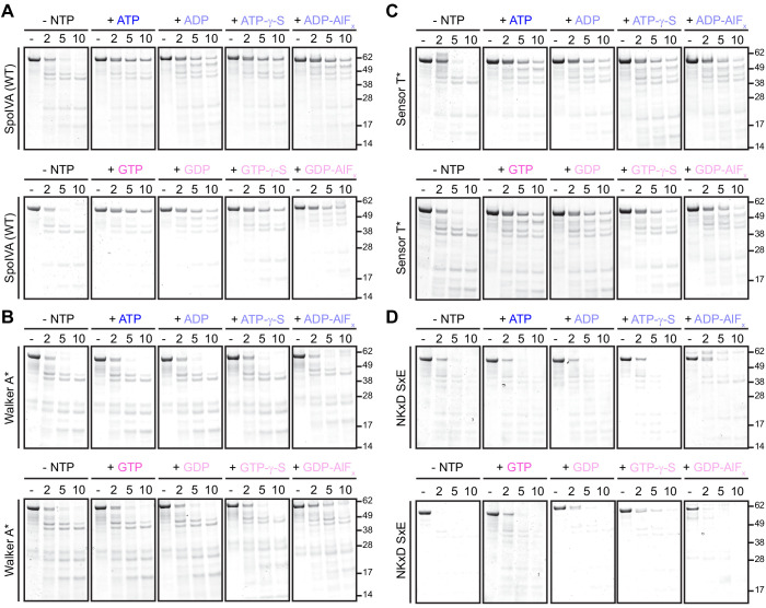 Figure 4—figure supplement 1.