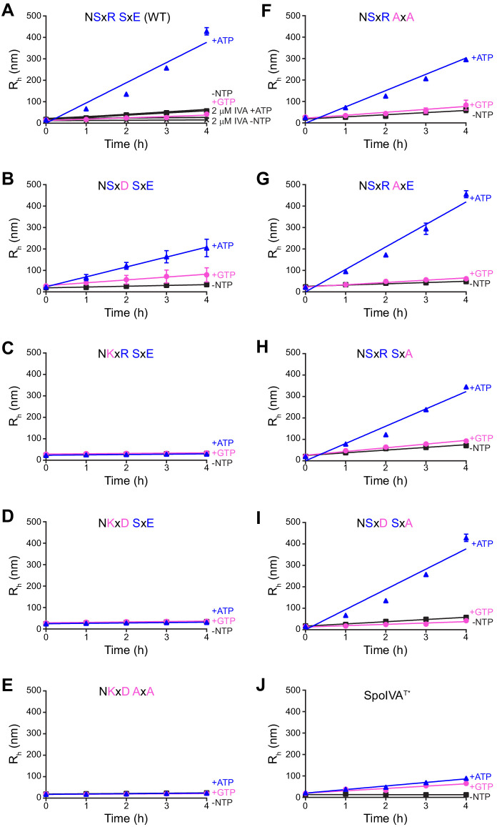 Figure 5—figure supplement 1.