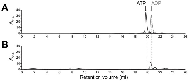 Figure 5—figure supplement 3.