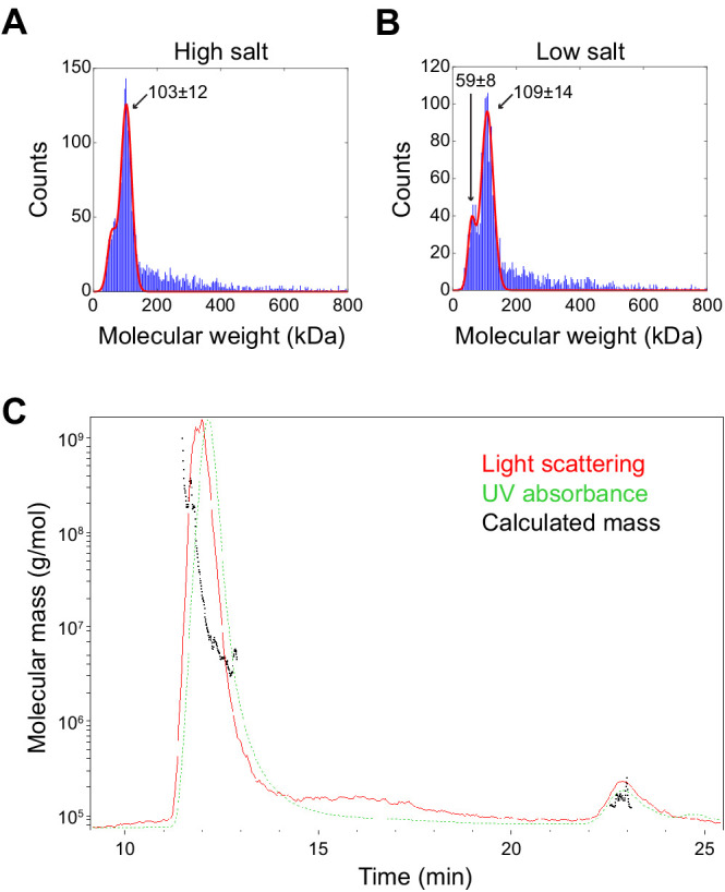 Figure 5—figure supplement 2.