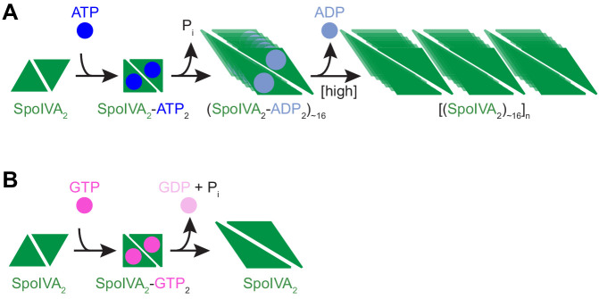 Figure 7.