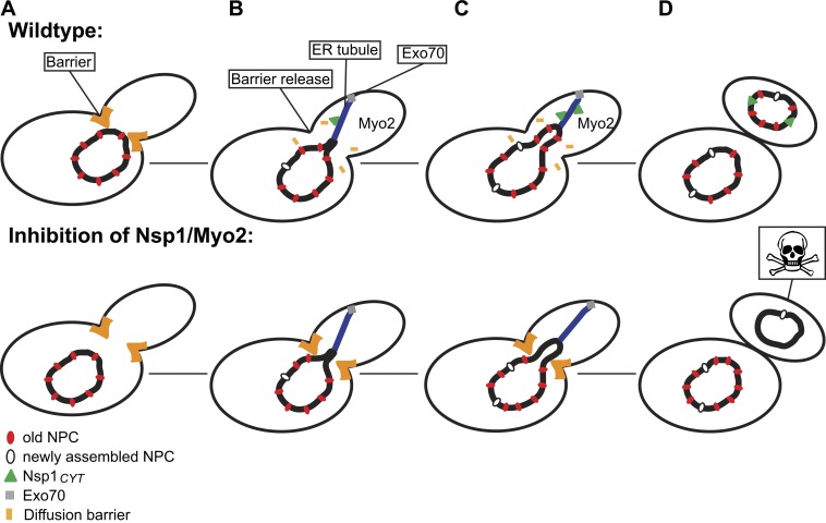 Figure 10.