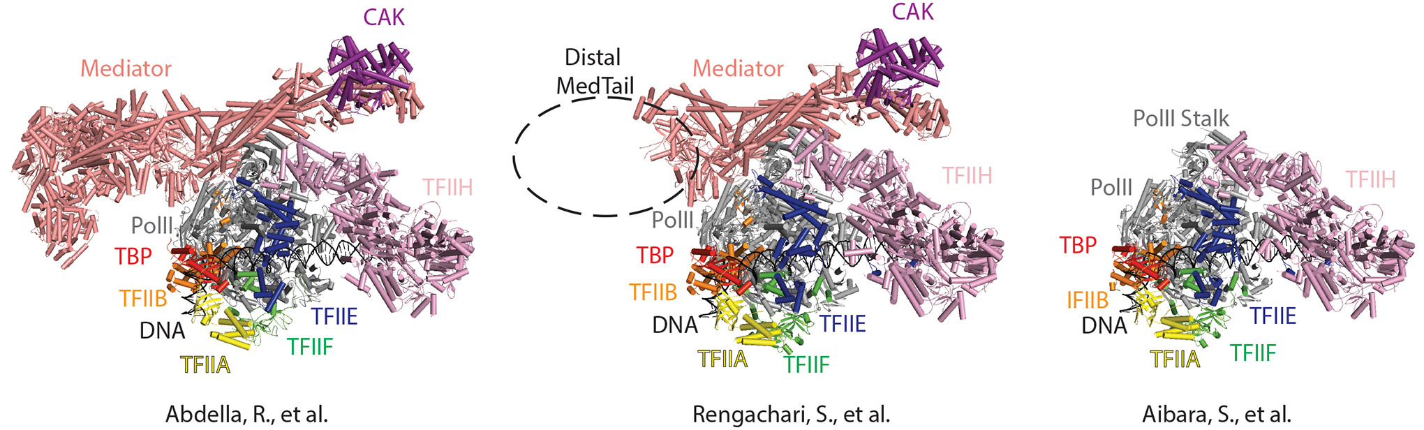 Figure 1: