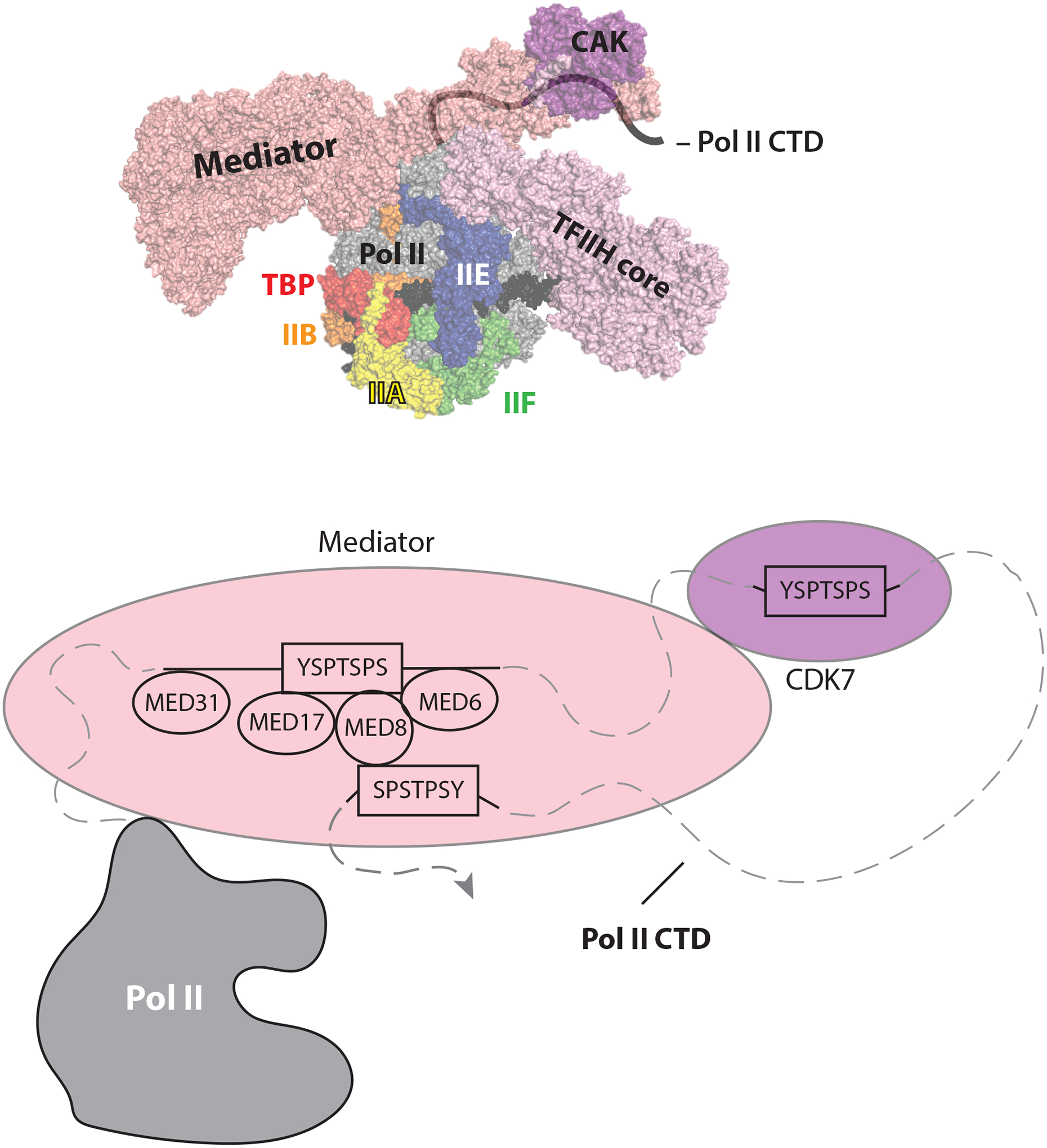 Figure 2: