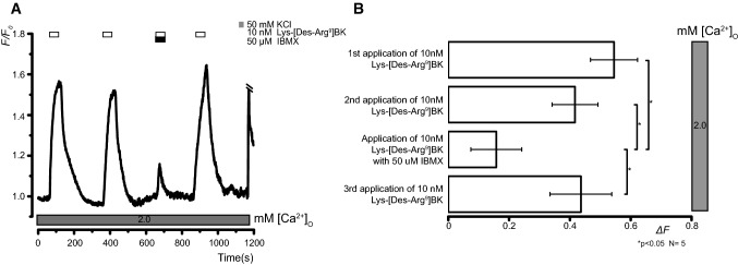 Fig. 5