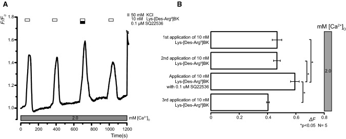 Fig. 6