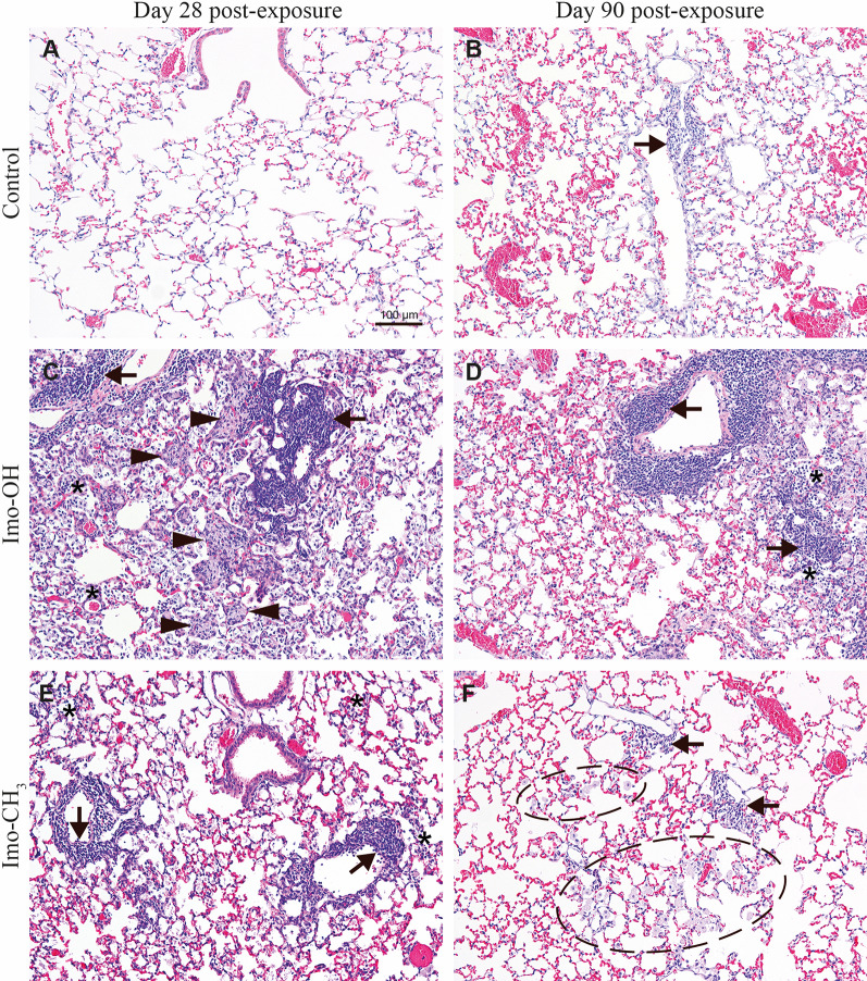 Fig. 7 