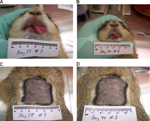 Fig. 7.