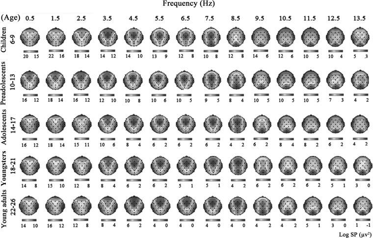 Fig. 3