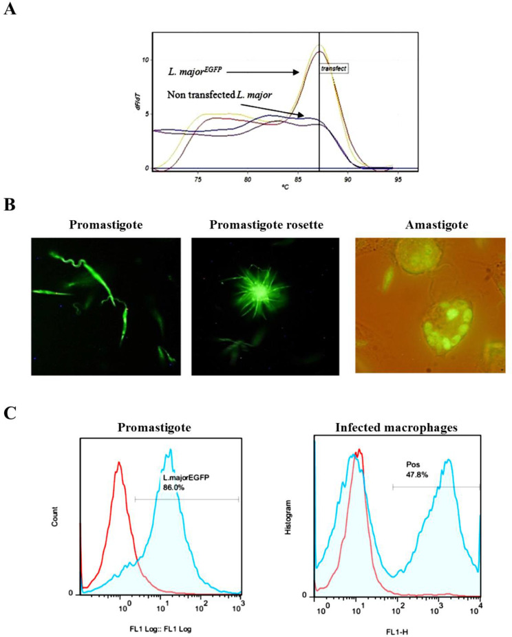 Fig. 2: