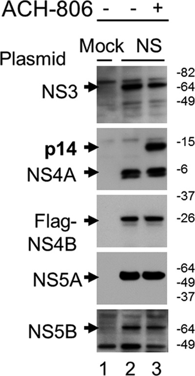 Fig 3