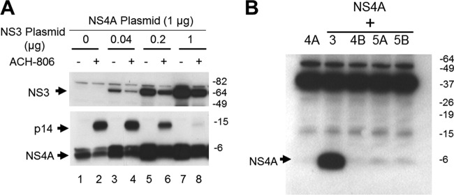 Fig 5